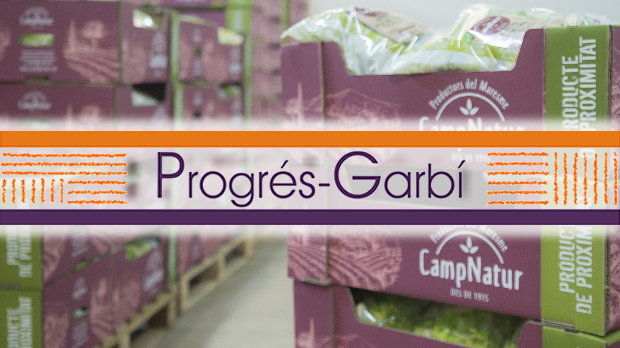 Producció agrícola