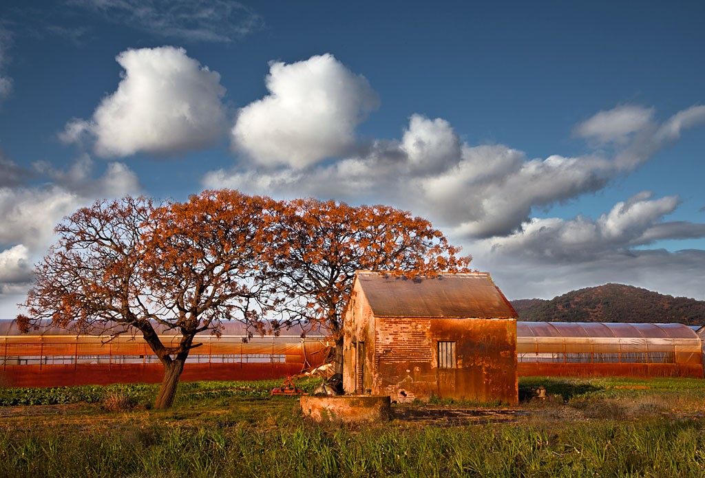 Pla de Grau al capvespre