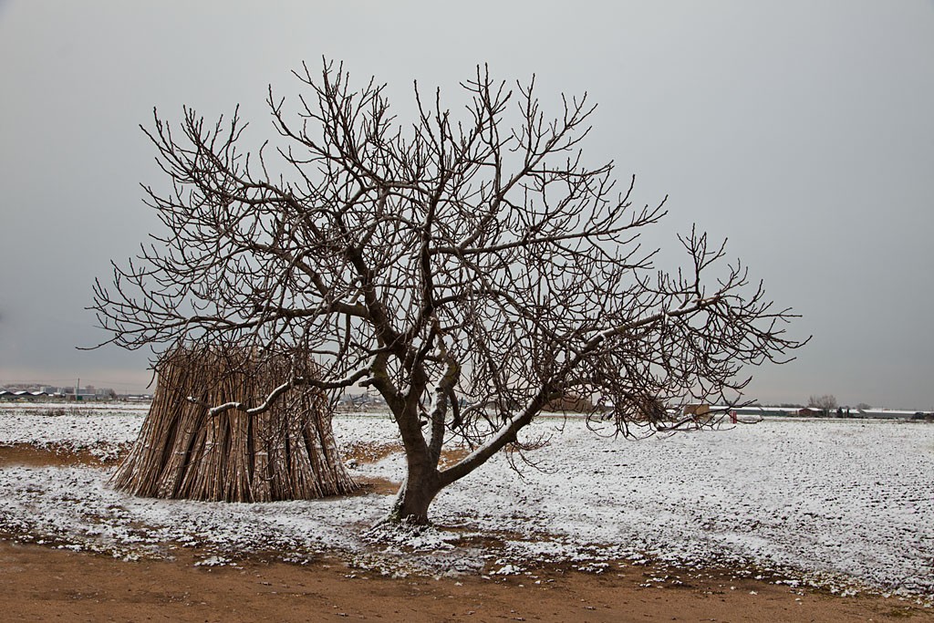 El Pla de Grau nevat