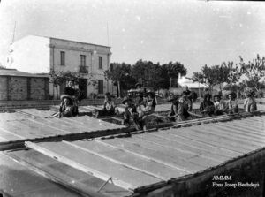 Dones i homes cuidant els planters a Malgrat de Mar, segurament abans del 1936.